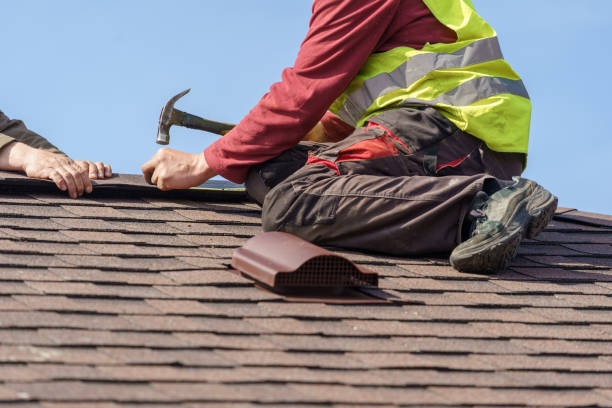 Best Roof Gutter Cleaning  in Carlstadt, NJ