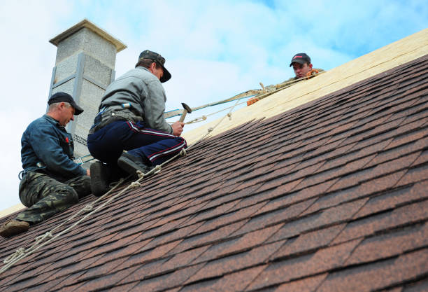 Best Flat Roof Repair Services  in Carlstadt, NJ